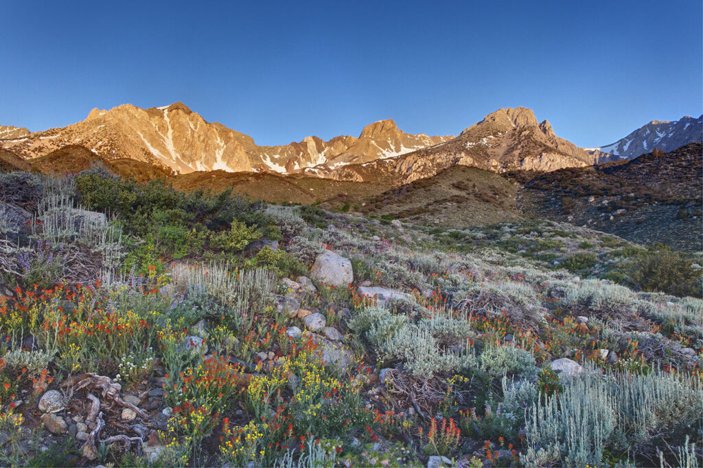 Sierra Nevada Foothills